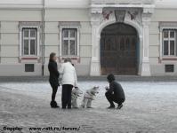 Imagine atasata: Reabilitare centru - 2016.01.23 - 12.jpg